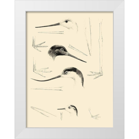 Waterbird Sketchbook V White Modern Wood Framed Art Print by Vision Studio