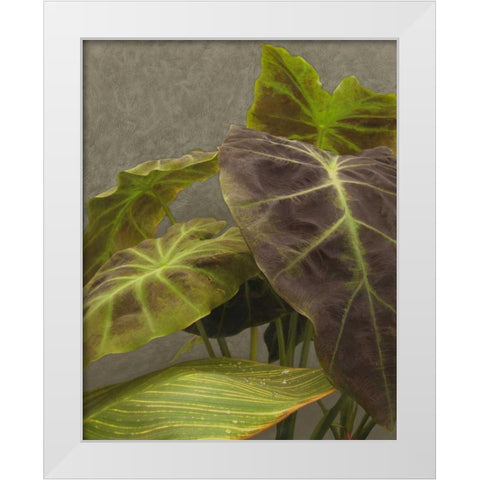 Non-Embellished Dramatic Leaves I White Modern Wood Framed Art Print by Zarris, Charliklia