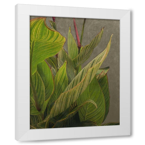 Non-Embellished Dramatic Leaves II White Modern Wood Framed Art Print by Zarris, Charliklia