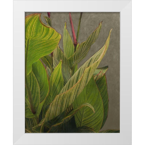 Non-Embellished Dramatic Leaves II White Modern Wood Framed Art Print by Zarris, Charliklia