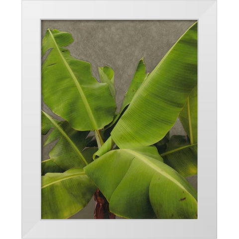 Non-Embellished Dramatic Leaves III White Modern Wood Framed Art Print by Zarris, Charliklia
