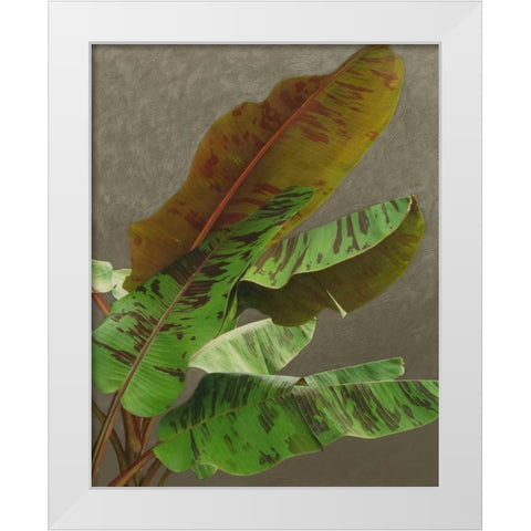 Non-Embellished Dramatic Leaves IV White Modern Wood Framed Art Print by Zarris, Charliklia