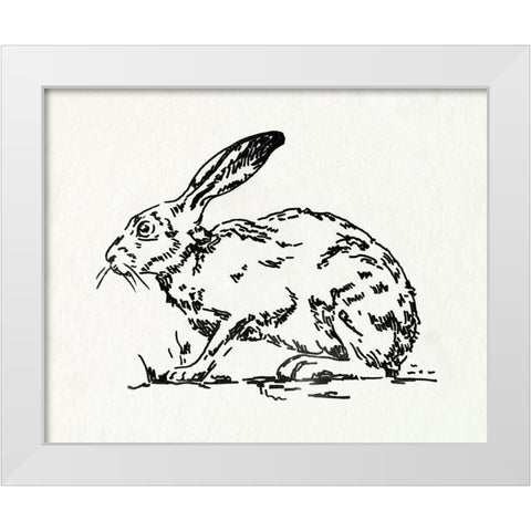 Resting Hare I White Modern Wood Framed Art Print by Caroline, Emma