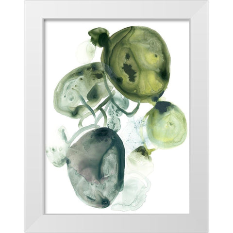 Orbital Lichen II White Modern Wood Framed Art Print by Vess, June Erica