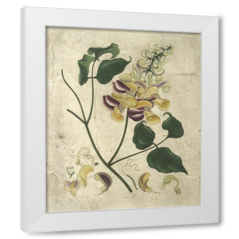 Aubergine Florals I White Modern Wood Framed Art Print by Vision Studio