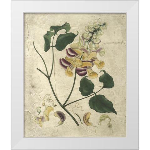 Aubergine Florals I White Modern Wood Framed Art Print by Vision Studio