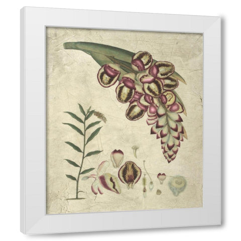 Aubergine Florals II White Modern Wood Framed Art Print by Vision Studio