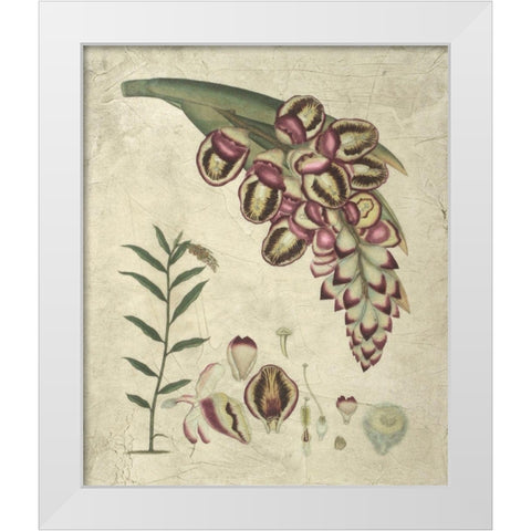 Aubergine Florals II White Modern Wood Framed Art Print by Vision Studio