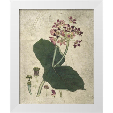 Aubergine Florals III White Modern Wood Framed Art Print by Vision Studio