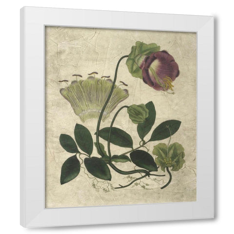 Aubergine Florals IV White Modern Wood Framed Art Print by Vision Studio