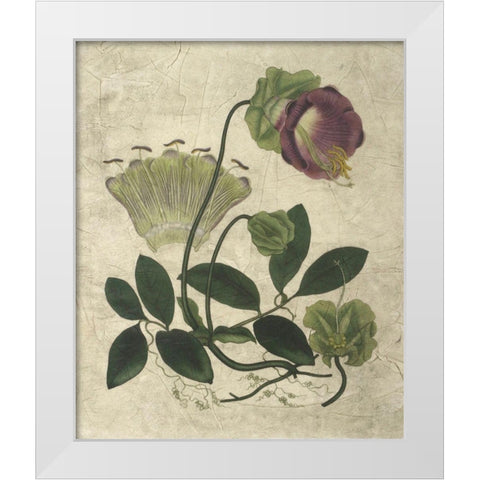 Aubergine Florals IV White Modern Wood Framed Art Print by Vision Studio