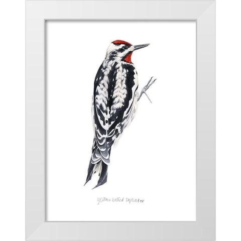 Watercolor Woodpecker I White Modern Wood Framed Art Print by Popp, Grace