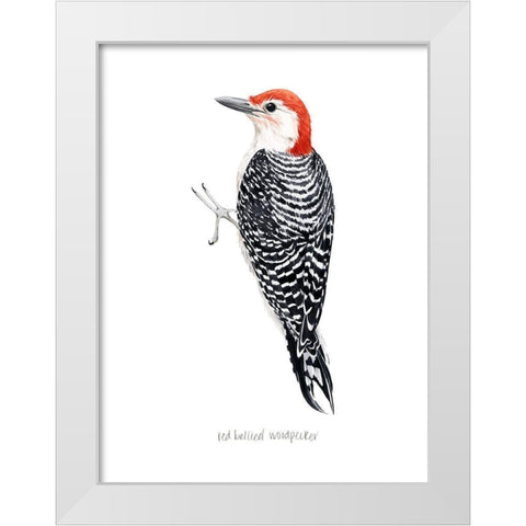 Watercolor Woodpecker III White Modern Wood Framed Art Print by Popp, Grace