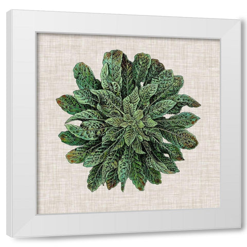 Spherical Leaves I White Modern Wood Framed Art Print by Vision Studio