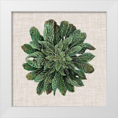 Spherical Leaves I White Modern Wood Framed Art Print by Vision Studio