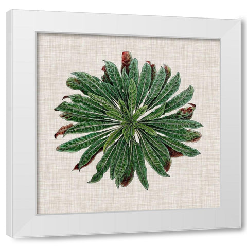 Spherical Leaves II White Modern Wood Framed Art Print by Vision Studio