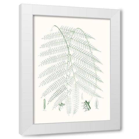 Verdure Ferns I White Modern Wood Framed Art Print by Vision Studio