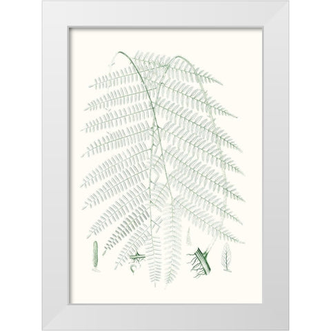 Verdure Ferns I White Modern Wood Framed Art Print by Vision Studio