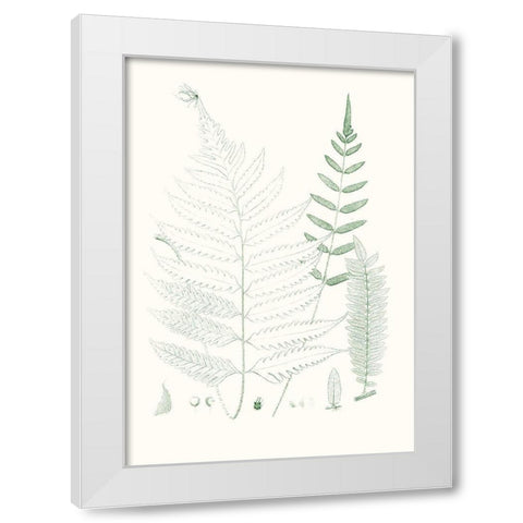 Verdure Ferns II White Modern Wood Framed Art Print by Vision Studio