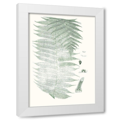 Verdure Ferns VI White Modern Wood Framed Art Print by Vision Studio