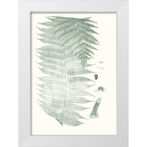 Verdure Ferns VI White Modern Wood Framed Art Print by Vision Studio