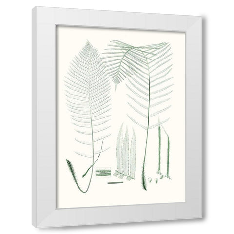 Verdure Ferns VII White Modern Wood Framed Art Print by Vision Studio
