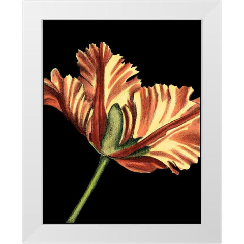 Vibrant Tulips I White Modern Wood Framed Art Print by Harper, Ethan
