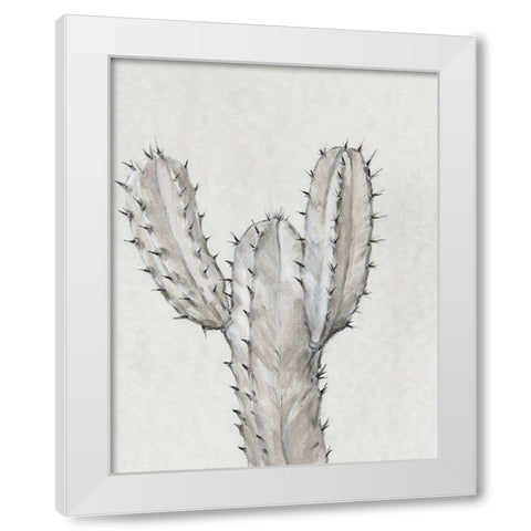 Cactus Study II White Modern Wood Framed Art Print by OToole, Tim