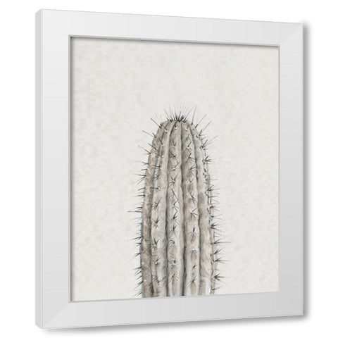 Cactus Study III White Modern Wood Framed Art Print by OToole, Tim