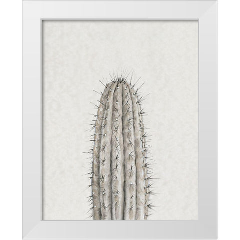 Cactus Study III White Modern Wood Framed Art Print by OToole, Tim