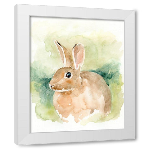 Field Bunny II White Modern Wood Framed Art Print by Barnes, Victoria
