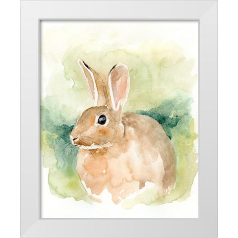 Field Bunny II White Modern Wood Framed Art Print by Barnes, Victoria