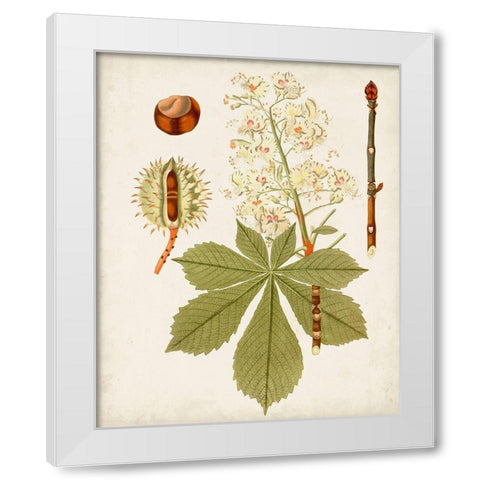 Antique Leaves VIII White Modern Wood Framed Art Print by Unknown