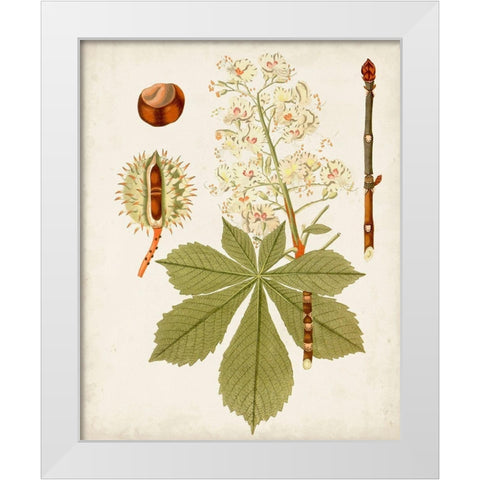 Antique Leaves VIII White Modern Wood Framed Art Print by Unknown