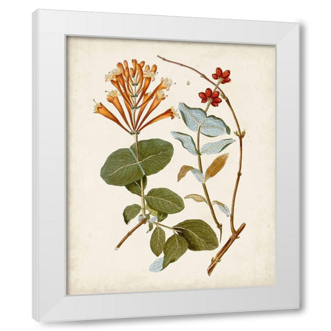 Vintage Flowering Trees IV White Modern Wood Framed Art Print by Unknown