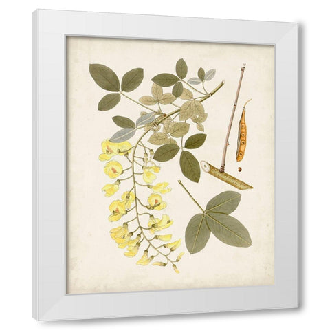 Vintage Flowering Trees VII White Modern Wood Framed Art Print by Unknown