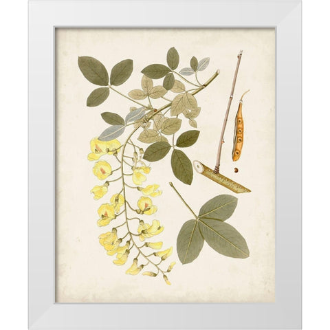 Vintage Flowering Trees VII White Modern Wood Framed Art Print by Unknown