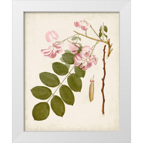 Vintage Flowering Trees VIII White Modern Wood Framed Art Print by Unknown