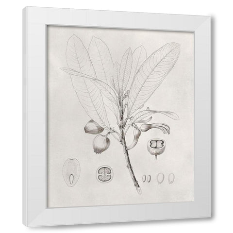 Vintage Leaves I White Modern Wood Framed Art Print by Vision Studio