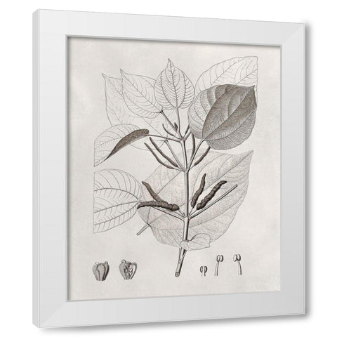 Vintage Leaves III White Modern Wood Framed Art Print by Vision Studio