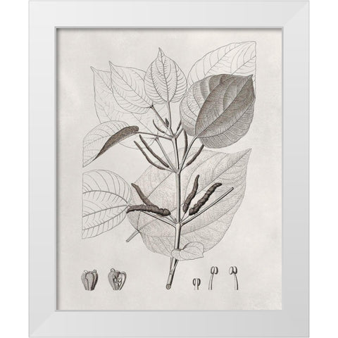 Vintage Leaves III White Modern Wood Framed Art Print by Vision Studio