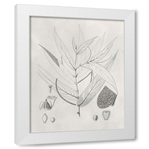 Vintage Leaves IV White Modern Wood Framed Art Print by Vision Studio