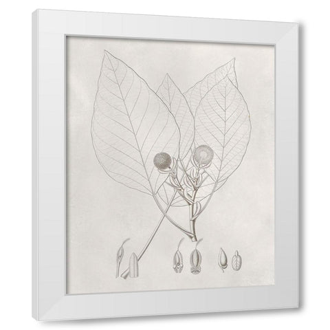 Vintage Leaves V White Modern Wood Framed Art Print by Vision Studio