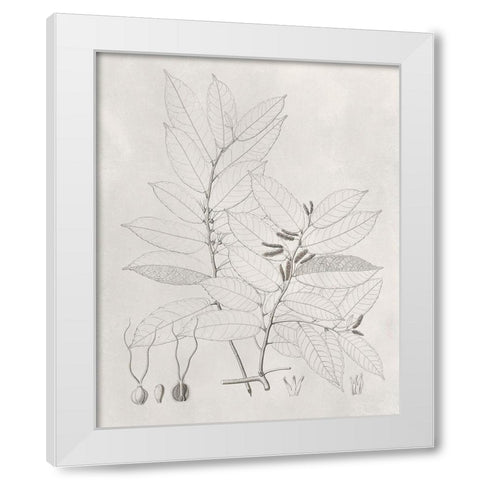 Vintage Leaves VI White Modern Wood Framed Art Print by Vision Studio