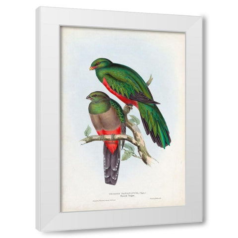 Gould Tropical Birds I White Modern Wood Framed Art Print by Gould, John