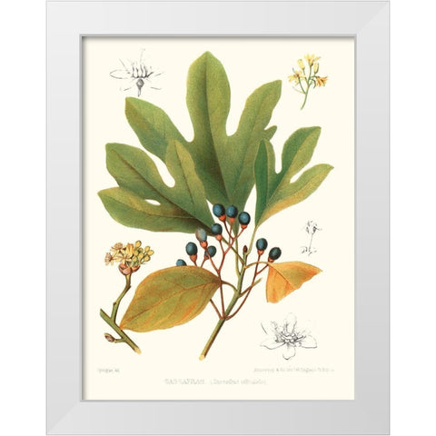 Non-embellished Antique Sassafras White Modern Wood Framed Art Print by Sprague