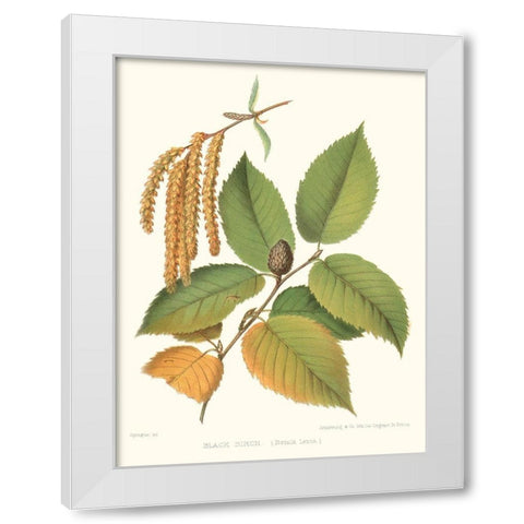 Non-embellished Black Birch White Modern Wood Framed Art Print by Sprague