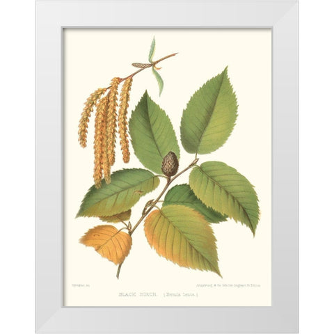 Non-embellished Black Birch White Modern Wood Framed Art Print by Sprague