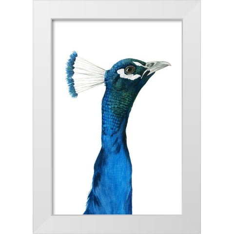Peacock Portrait I White Modern Wood Framed Art Print by Popp, Grace