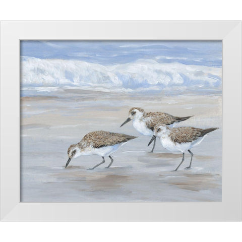 Sandpipers II White Modern Wood Framed Art Print by OToole, Tim